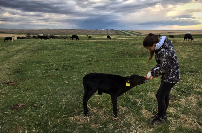 Freiwilligenarbeit, Farmstay, Kanada
