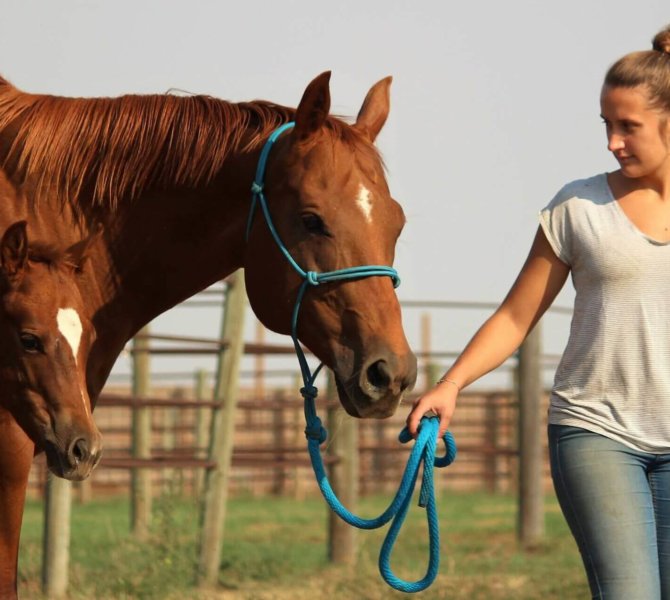 received_10154789497115785