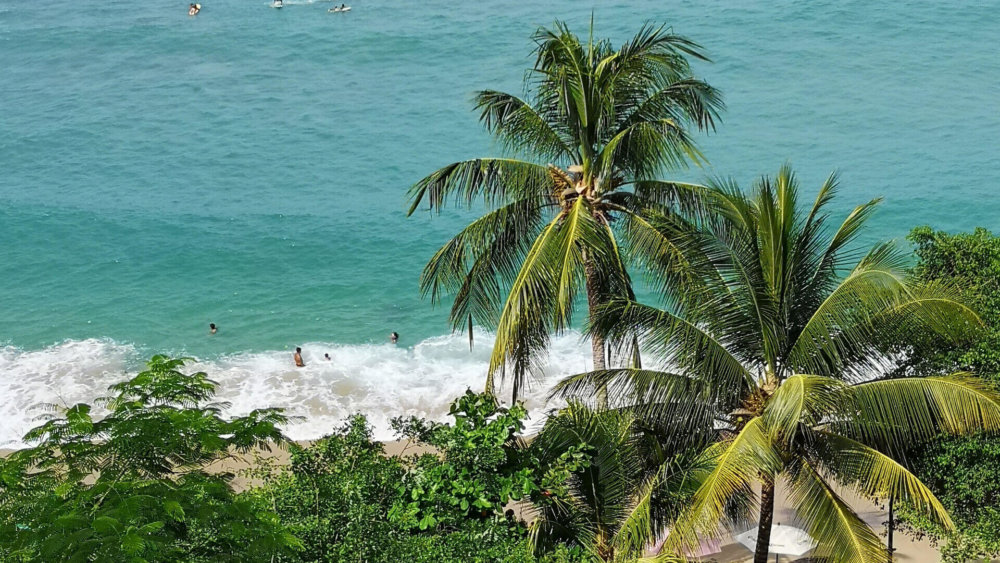 Mexiko, Freiwilligenarbeit, Meeresschildkröten, Palmen, Strand