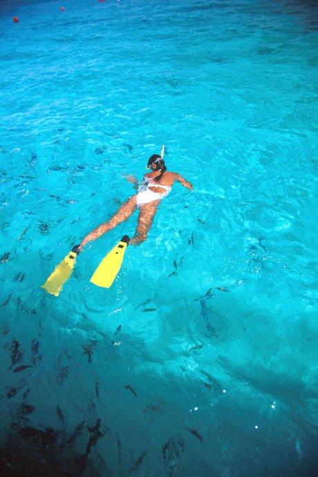 Teilnehmer, tauchen, meer