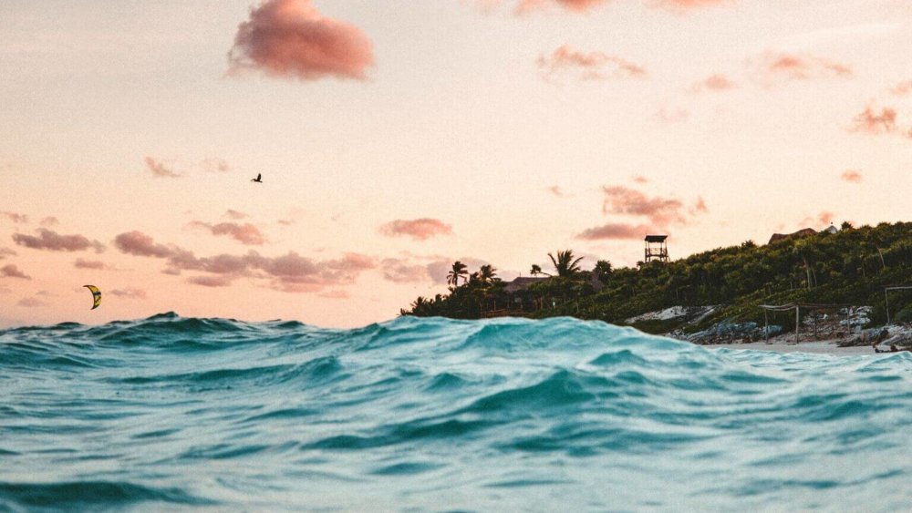 Meer, Mexiko, Freiwilligenarbeit