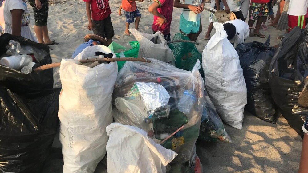 Natur-und-Klimaschutz, Freiwilligenarbeit, Save-the-planet