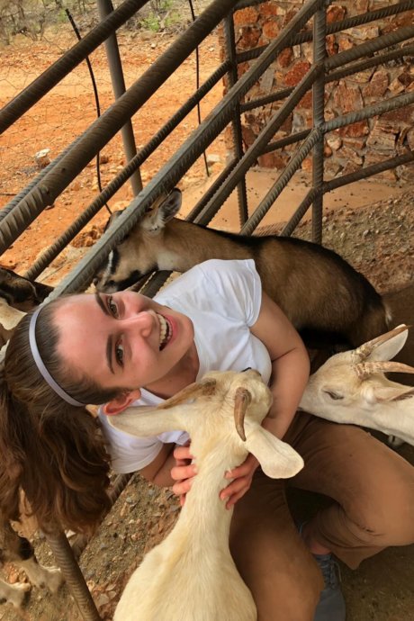 Wildlife-und-Tierschutz, Freiwilligenarbeit, Namibia, Tiere