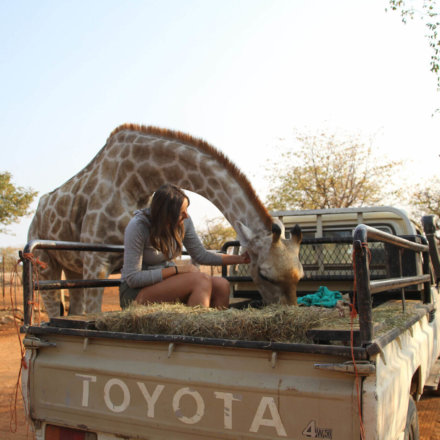 Giraffe JJ und ich_Okutala_2