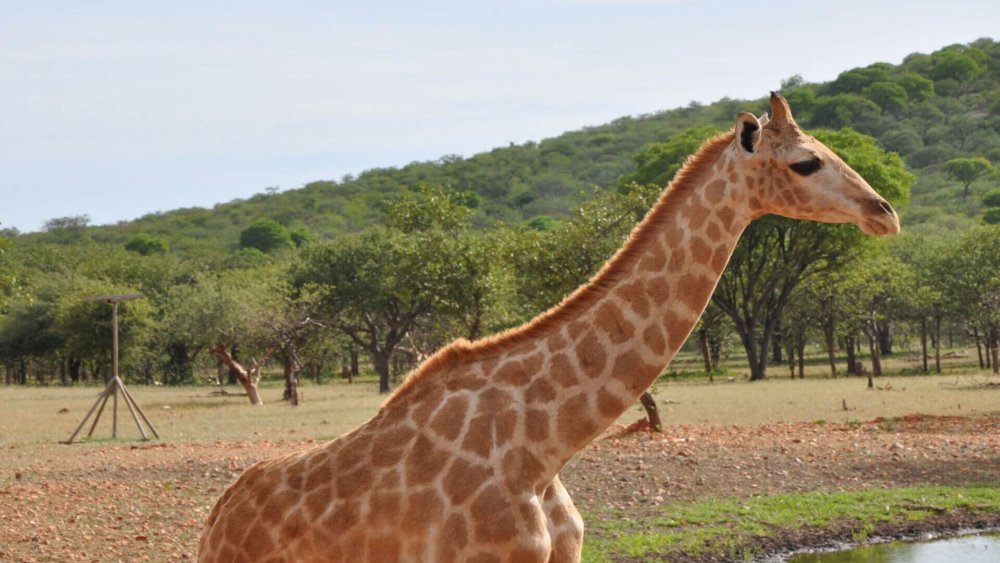 Okutala-visit-Hardy (123)