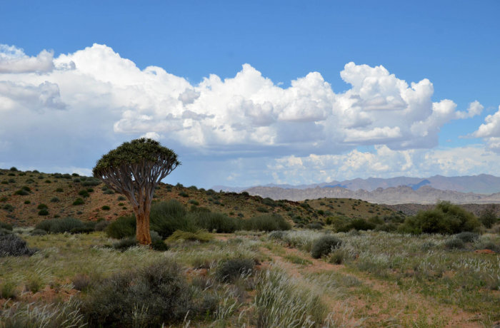 Landschaft, Natur, Wildnis, Namibia