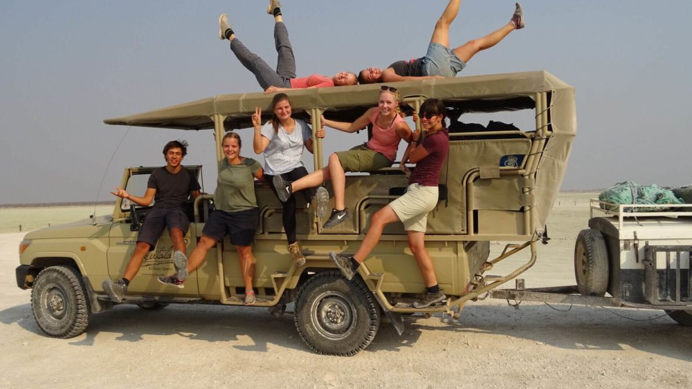 Wildlife-und-Tierschutz, Freiwilligenarbeit, Namibia, Safari