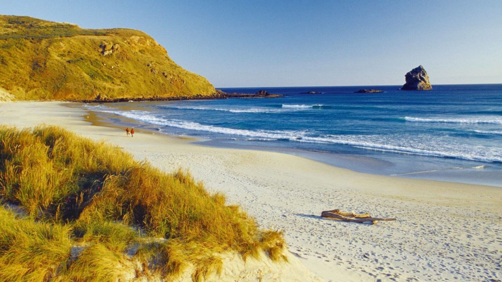 2957414924_07b69eb07e_o