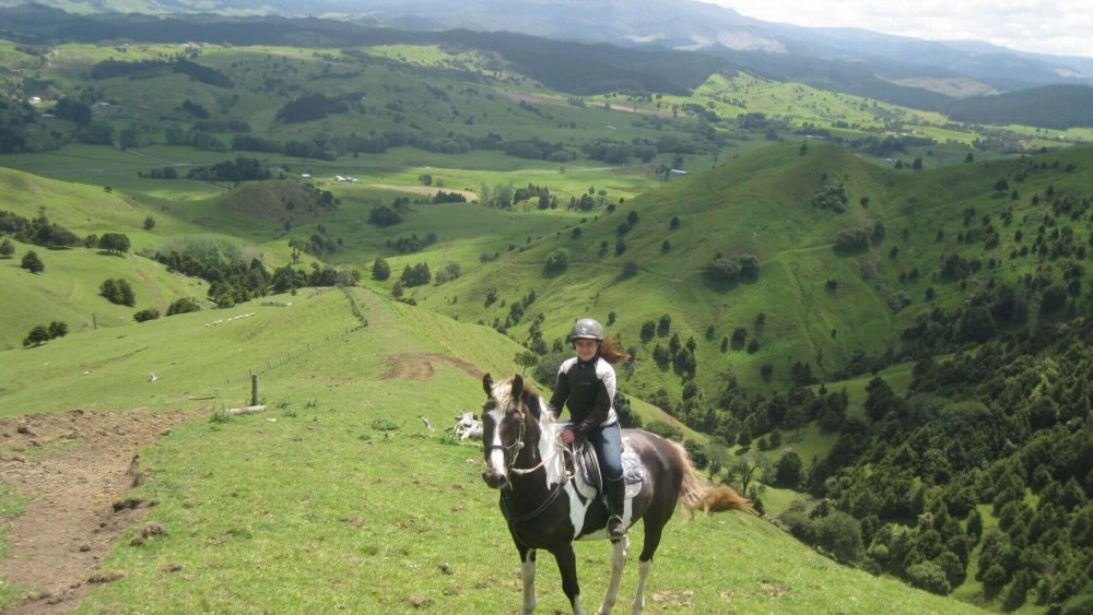 isabell_humm_-_neuseeland_-_farmstay_14