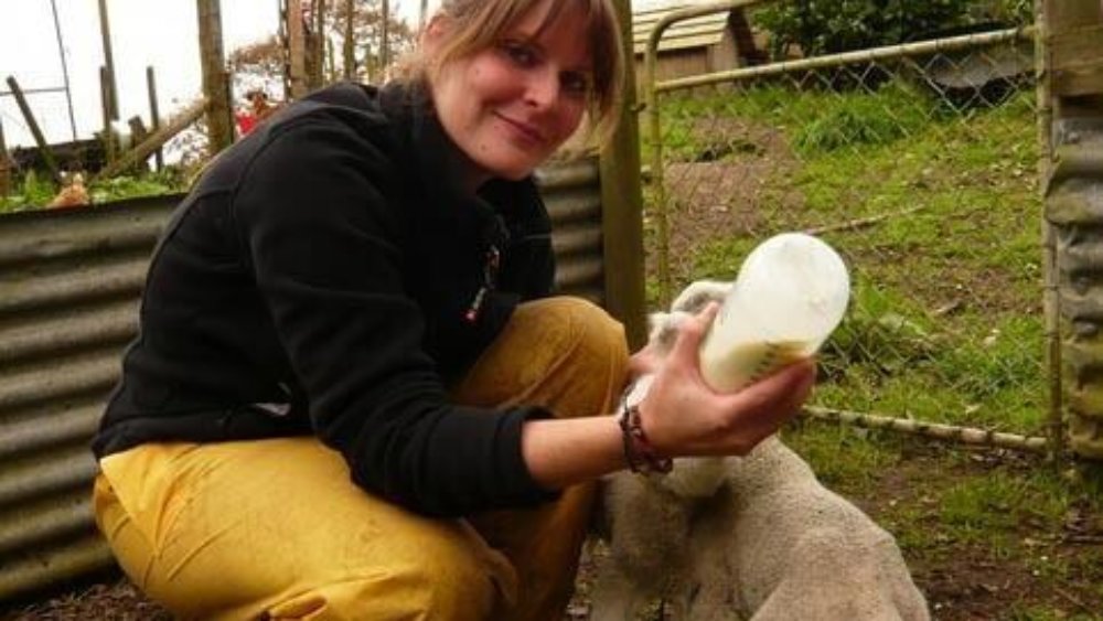 4160_farmmeinekl.lammys1