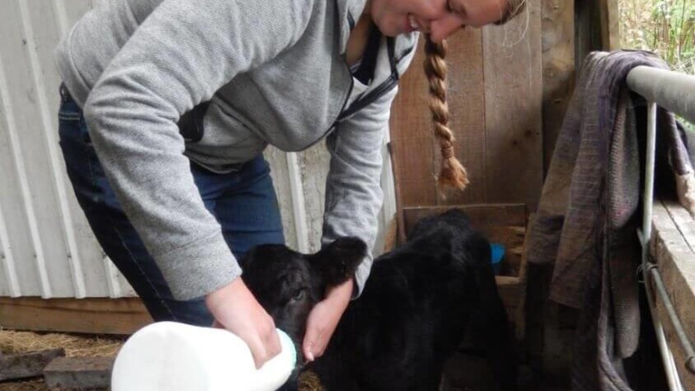 louisa_wendeler_1_web