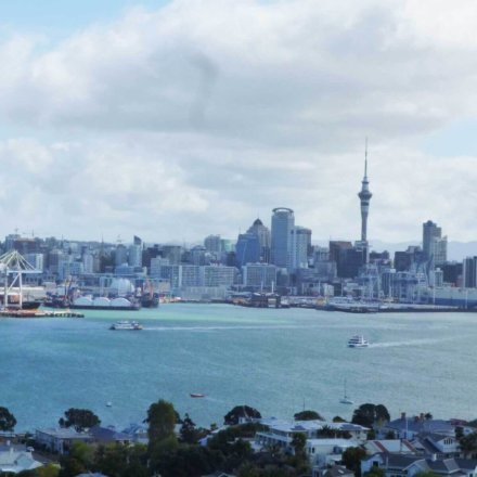 neuseeland-freiwilligenarbeit-farmstay-annagamerschlag-001