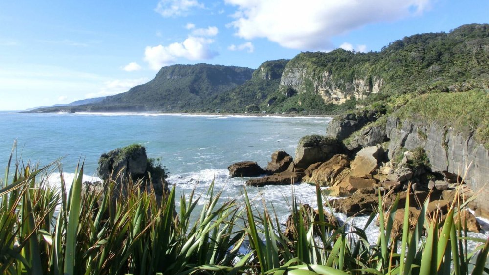 barbara-raabe-neuseeland-farmstay04