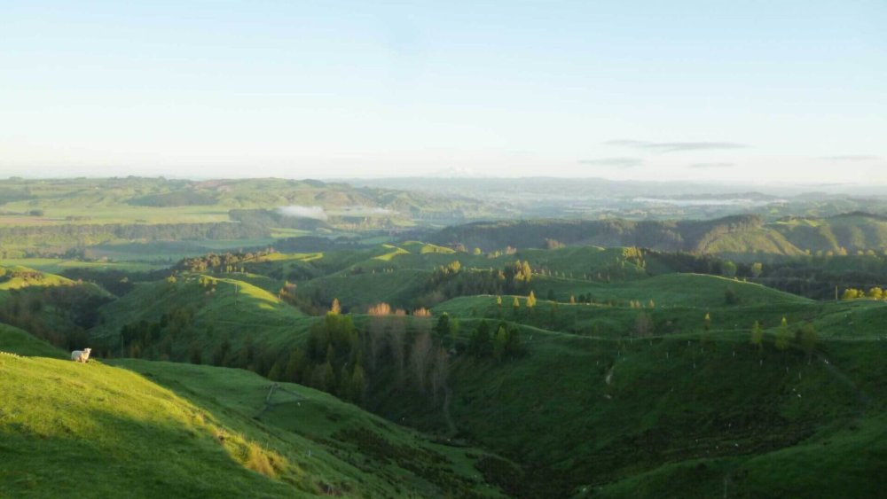 neuseeland-freiwilligenarbeit-farmstay-annagamerschlag-003