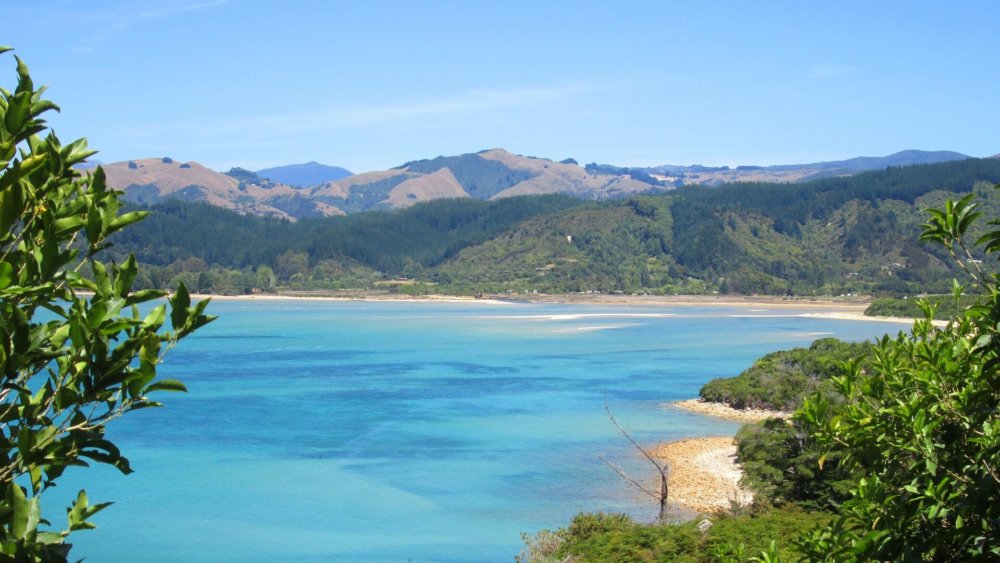 neuseeland-landschaft-ausblick-auf-meer-und-berge