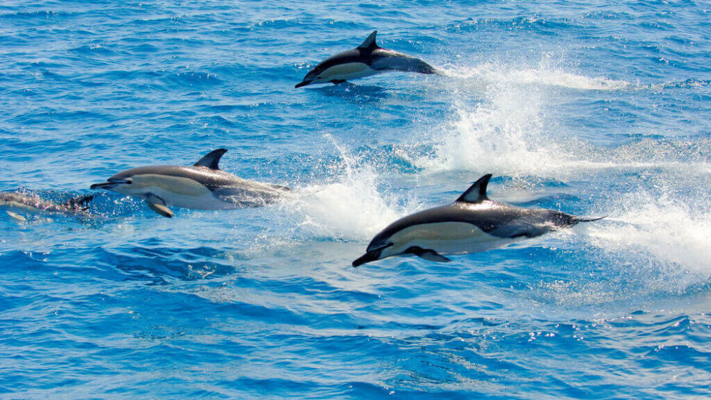 2452552659_569cf51002_b