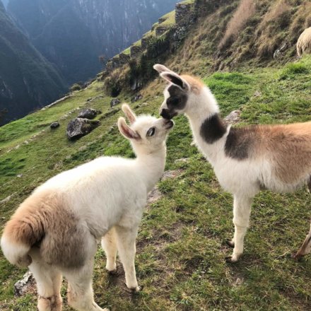 yuvy-dhaliah-xLn90ViSeoE-unsplash