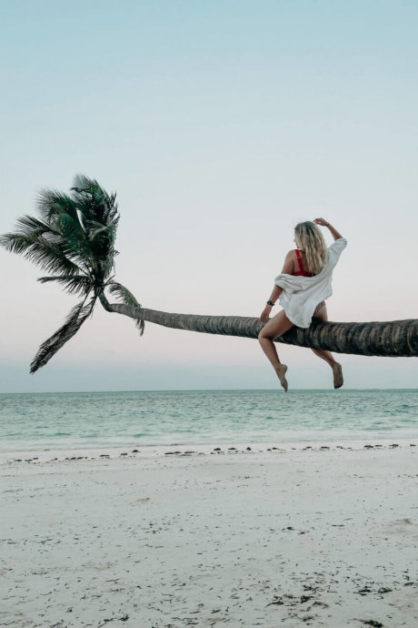 Palme, Strand, Sansibar