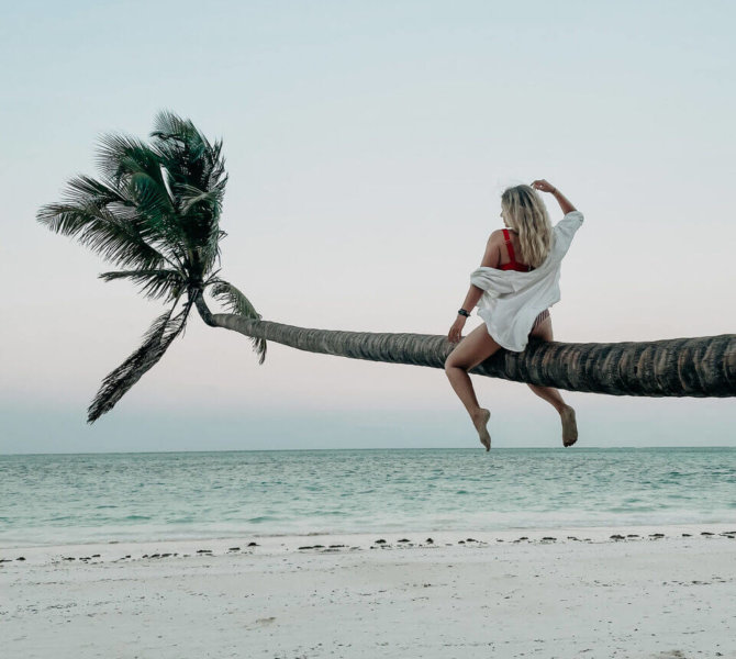 Palme, Strand, Sansibar
