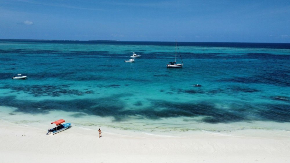 RemoteMediaFile_6619164_0_2022_02_19_11_13_08