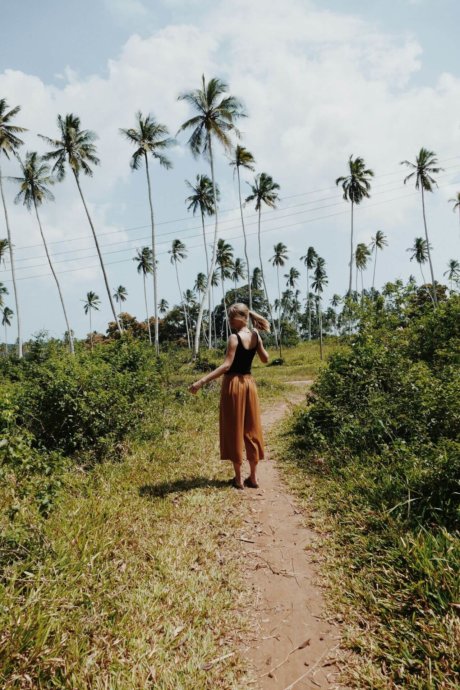 Palmen, Sansibar, Landschaft