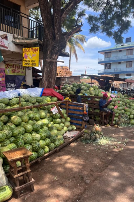 Sansibar-Sozialarbeit-mit-Kindern-Freiwilligenarbeit