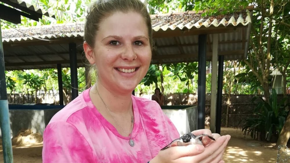 Ich halte das erstem mal eine Babyschildkröte