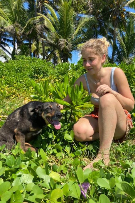 Straßenhunde-projekt-Wildlife-Tierschutz-Sri-Lanka