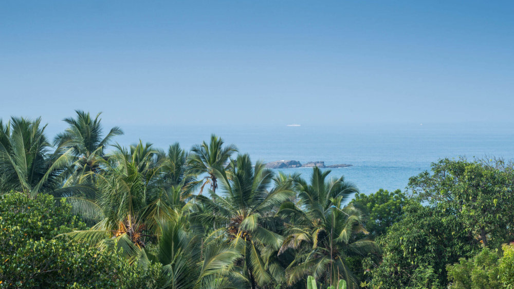 palmen, meer, Landschaft, Sri-Lanka