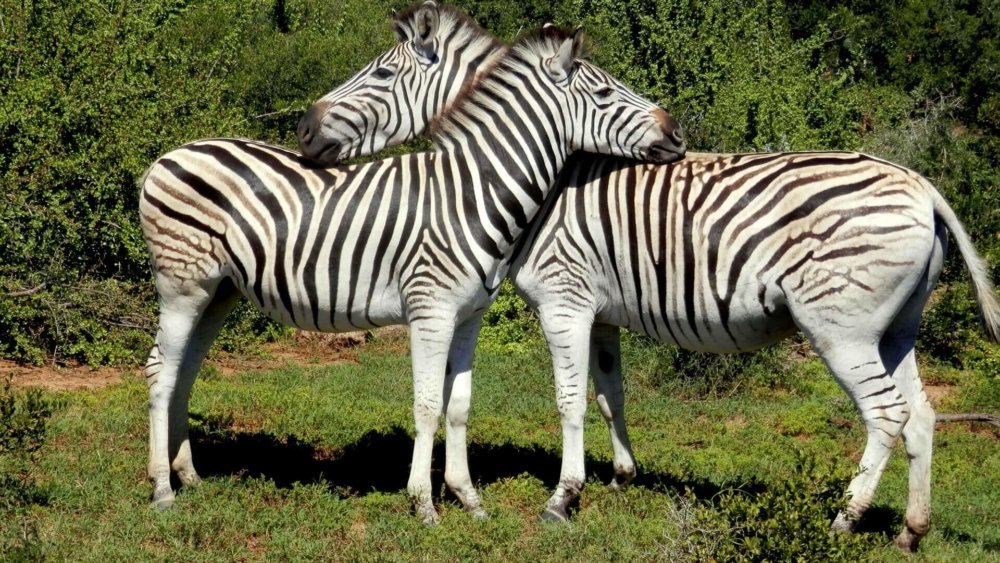 Suedafrika-Freiwilligenarbeit-Sozialarbeit-Melissa-019