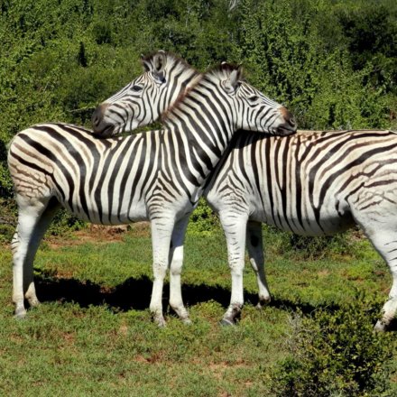 Suedafrika-Freiwilligenarbeit-Sozialarbeit-Melissa-019