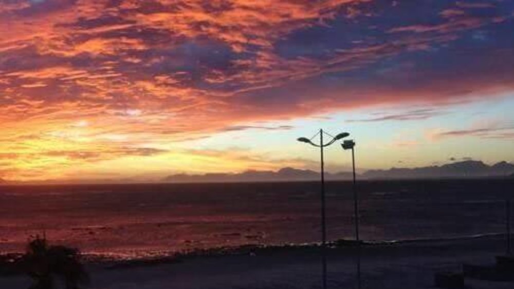 suedafrika-freiwilligenarbeit-tierpflege-sabrina-010