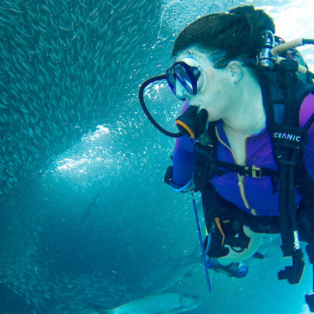 tauchexpedition-suedafrika-taucherin-in-einem-fischschwarm-unterwasser
