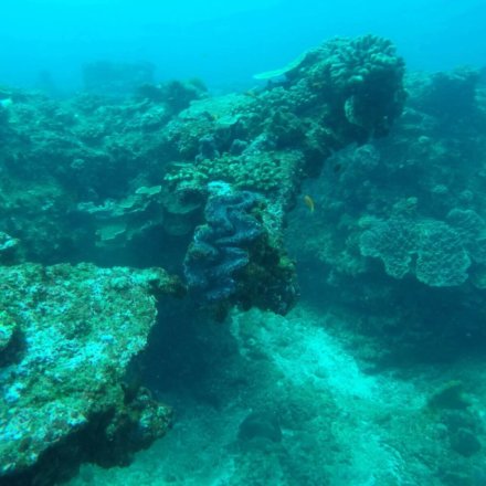 suedafrika-freiwilligenarbeit-umweltschuz-maria-002_1