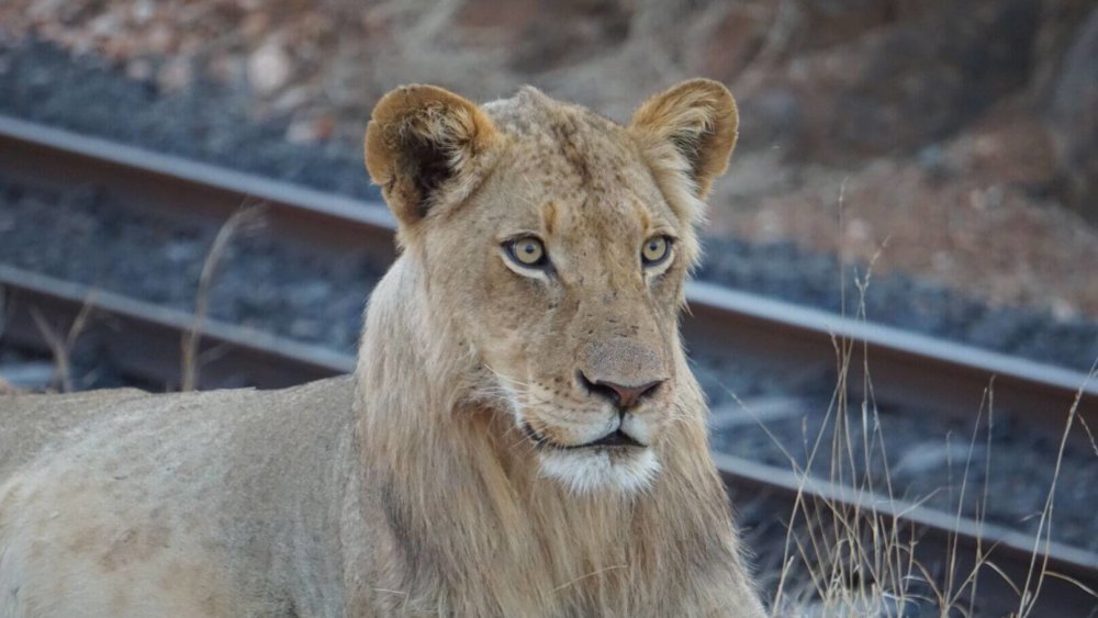 A97C4725-32F5-4987-9FC0-5AB1ACBE8240