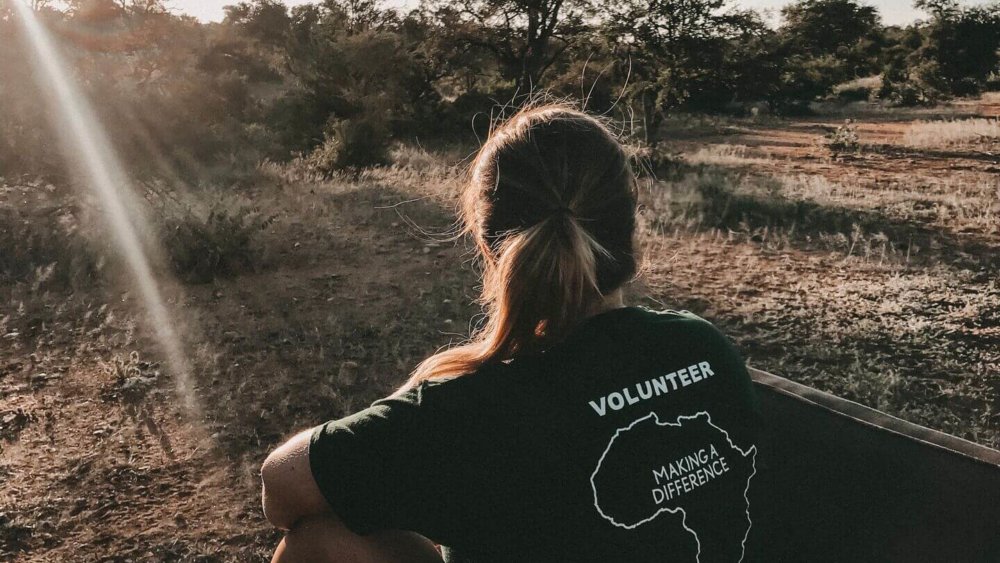 Lisa Smets-Aussicht Pickup