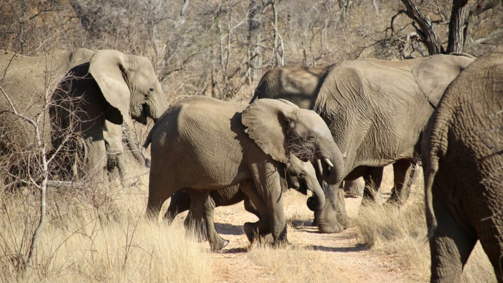 1B115103-190A-4423-A180-8F403AEB885B