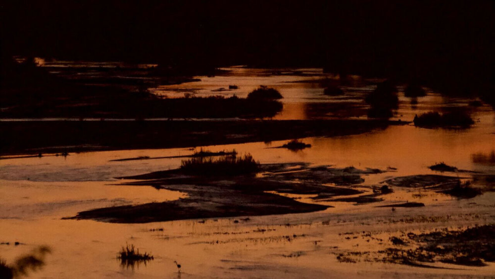 1EB2247B-7E78-4308-A323-823005734462