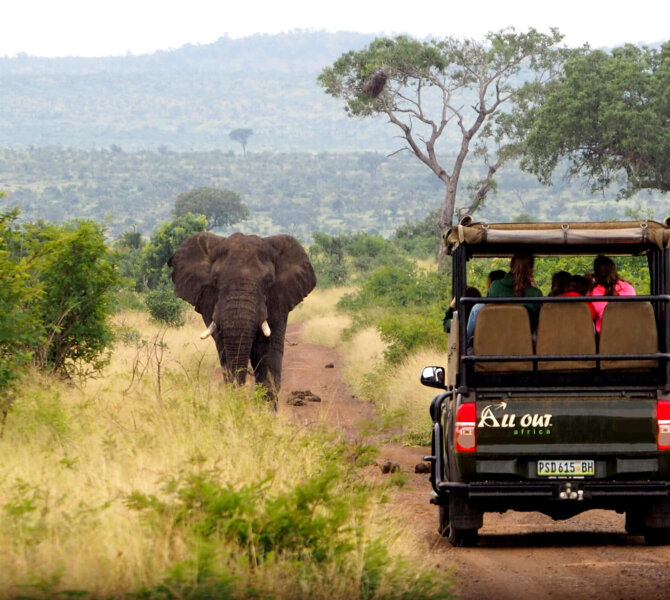 Südafrika-Way-Changer-Krüger