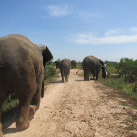 302688_495197000503906_99432510_n