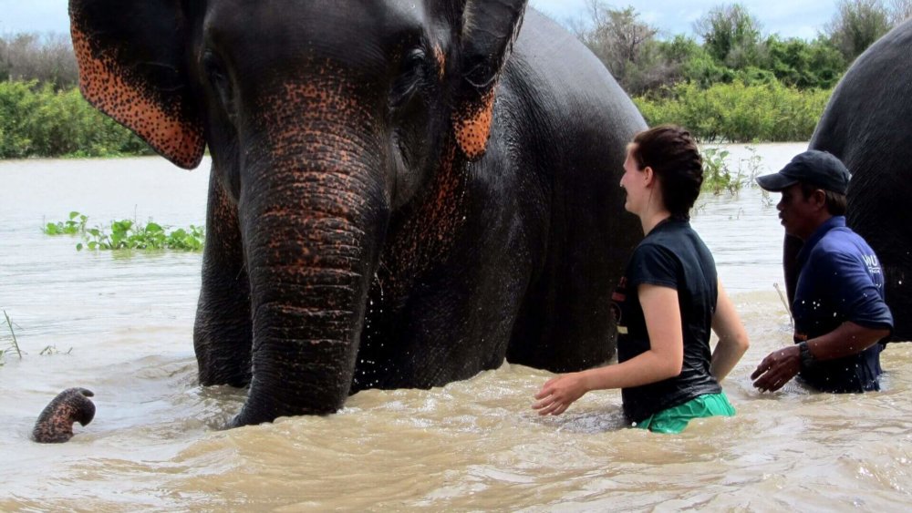 Thailand-Freiwilligenarbeit-Elefanten-Projekt-Elisa-010