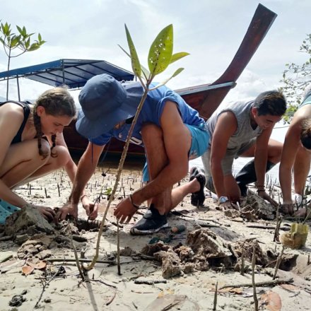Natur-und-Klimaschutz, Freiwilligenarbeit, Save-the-planet, Thailand