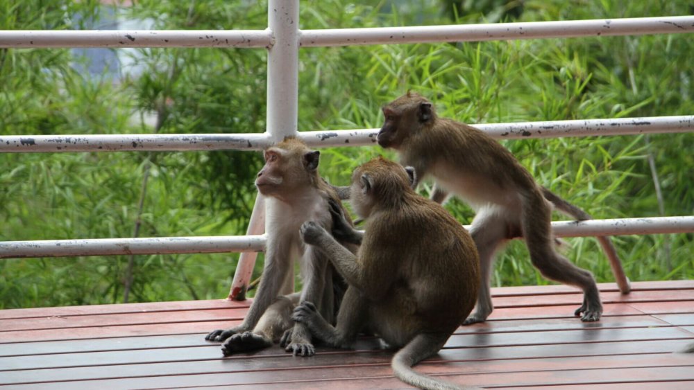 Khao Hin Lek Fai View Point