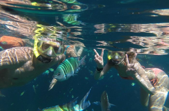Koh Phi Phi Snorkelling _ Ultimate Thailand