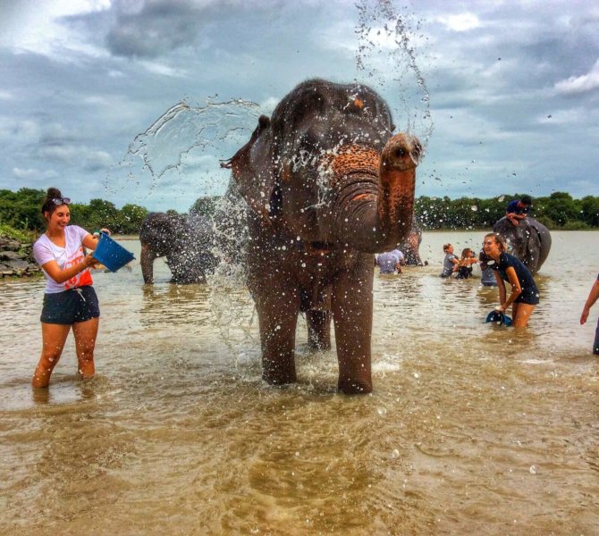Freiwillige von wayers in Thailand baden Elefanten in einem Fluss, während ein Elefant Wasser mit dem Rüssel spritzt, Naturkulisse im Hintergrund