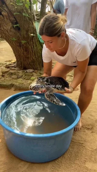 Jeden Tag hast du die Möglichkeit, einen Impact zu hinterlassen und etwas Gutes zu tun. Diese Möglichkeit hast du in unseren Volunteering Projekten 🙌🏼 

Zum Beispiel im Bereich Social Care, Medizin, Tier- und Meeresschutz oder im Umweltschutz 👉🏼 Welches Projekt wählst du? 
•
•
•
•
•
•
•
#freiwilligenarbeit #volunteering #auslandsjahr #volunteer #gapyear #impact #volunteeringabroad #freiwilligenarbeit #gapyeartravel