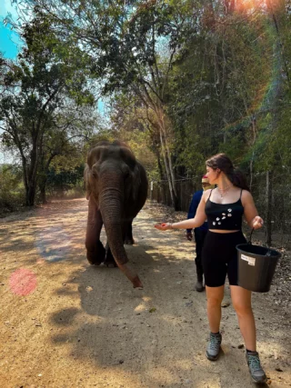 Wer hat Bock sich im Elefantenprojekt in Thailand für den Schutz der Dickhäuter einzusetzen? 🐘🙌🏼

Markiere jemanden in den Kommentaren, mit dem du gerne nach Thailand reisen möchtest 👇🏼
•
•
•
•
•
#thailand #elefantenschutz #thailandvolunteer #volunteerlife #volunteerabroad #elefant #gutestun #freiwilligenarbeit