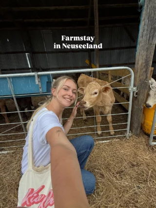 Lust auf Farmstay in Neuseeland? @travelwitheliisa und @julian_tomann waren am Mittwoch zu Besuch auf einer Dairy Farm und haben die liebe Inka besucht. Inka ist seit 2 Wochen im Farmstay & hat den beiden ihren Farmalltag gezeigt.

Zu den Aufgaben von Inka gehört morgens ab ca. 9 Uhr das zubereiten vom Futter und der Milch für die Kälber. Aktuell leben rund 400 Kälber auf der Farm 🐄 Auch beim Melken der Milchkühe & bei anderen Farmarbeiten packt Inka mit an 🙌🏼

Habt ihr Fragen zum Farmstay in Neuseeland? 🇳🇿👇🏼
•
•
•
•
•
•
•
#farmstay #neuseeland #farmwork #workandtravel #newzealand #farmlife #farmleben #farmjob #gapyear #gapyearnewzealand