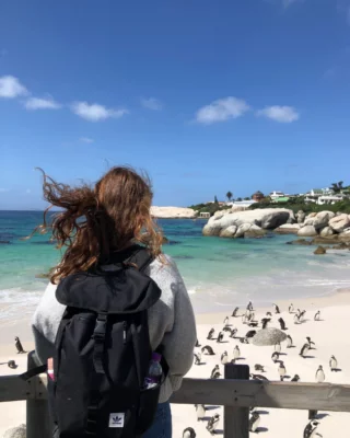 Kleine Schritte, große Herzen 💛🐧
Markiere deine Lieblingsreisebegleitung für euern Trip nach Kapstadt!
•
•
•
•
•
#südafrika #kapstadt #pinguine #volunteerlife #travel