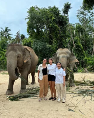 Reisen, die Spuren hinterlassen – aber die guten 🐘🤍
Wen nimmst du mit ins Elefantenprojekt nach Thailand? 👇🏼
•
•
•
•
•
#thailand #elefantenschutz #thailandvolunteer #elefant #volunteerabroad